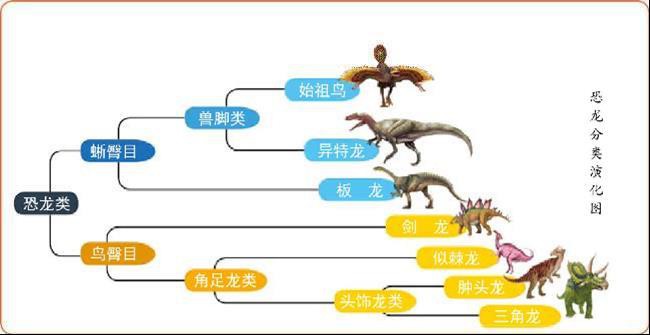 恐龙的分类有哪些