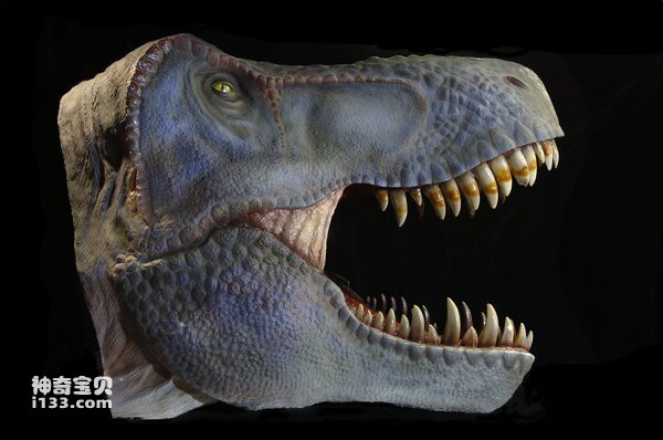 肉食恐龙与草食恐龙的感官有什么不同