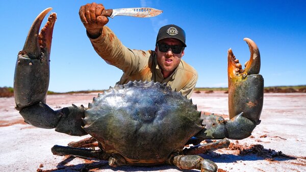 世界上最大的螃蟹十大排名，最大的螃蟹有多大？
