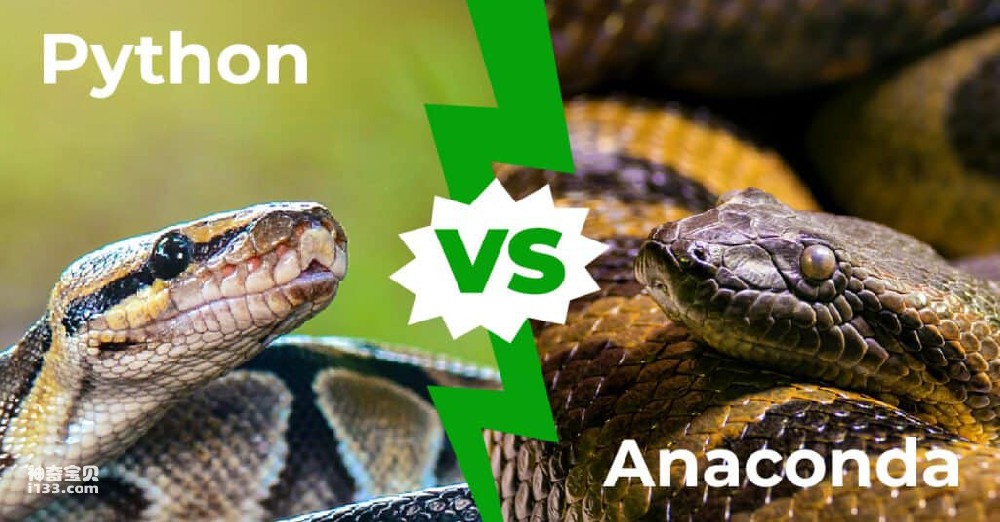 Python-vs-Anaconda.jpg