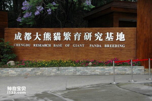 Chengdu_panda_breeding.jpg