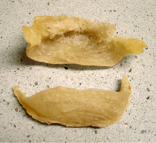 66.jpg