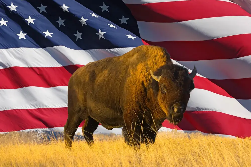tjnw5-q7f6x.webp