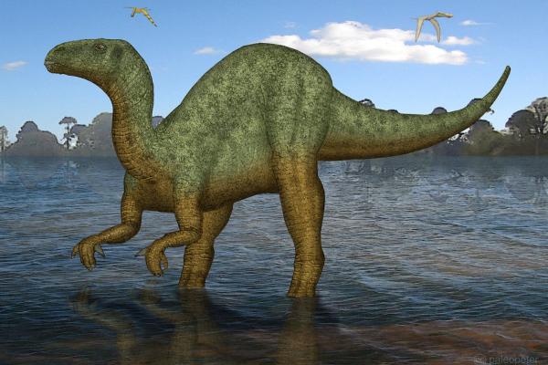 Dinosaurios encontrados en España - Iguanodon spp.