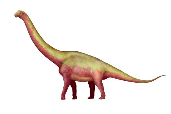 Dinosaurios encontrados en España - Tastavinsaurus sanzi