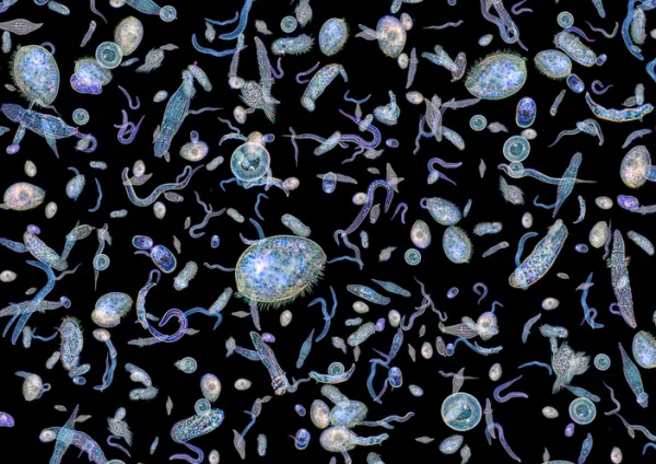 2025091453392986.webp 2.webp