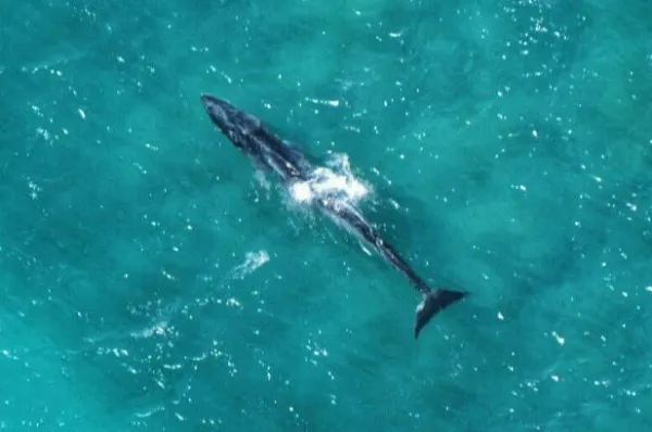 2025091511975952.webp 10.webp