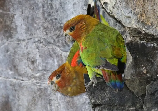 2025091515876693.webp 6.webp