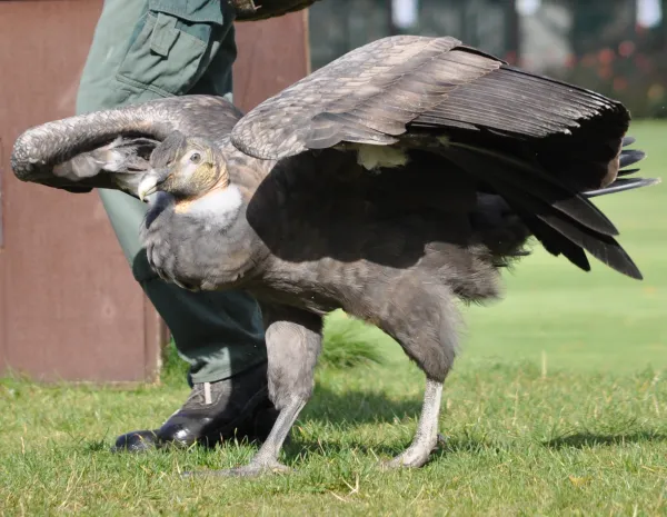 2025091518432618.webp 3.webp