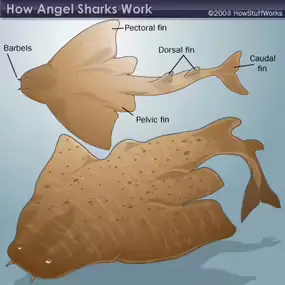 2025102911013321.webp 2.webp