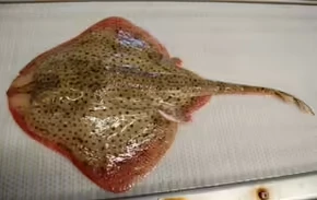 2025102911648926.webp 9.webp