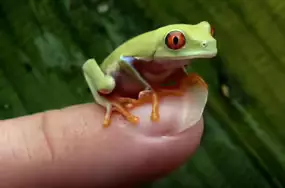 2025102916093758.webp 4.webp