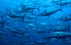 2025102917536831.webp 4.webp