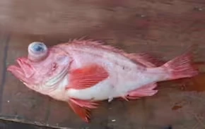 2025102919661317.webp 7.webp