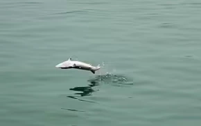 2025102919935381.webp 10.webp