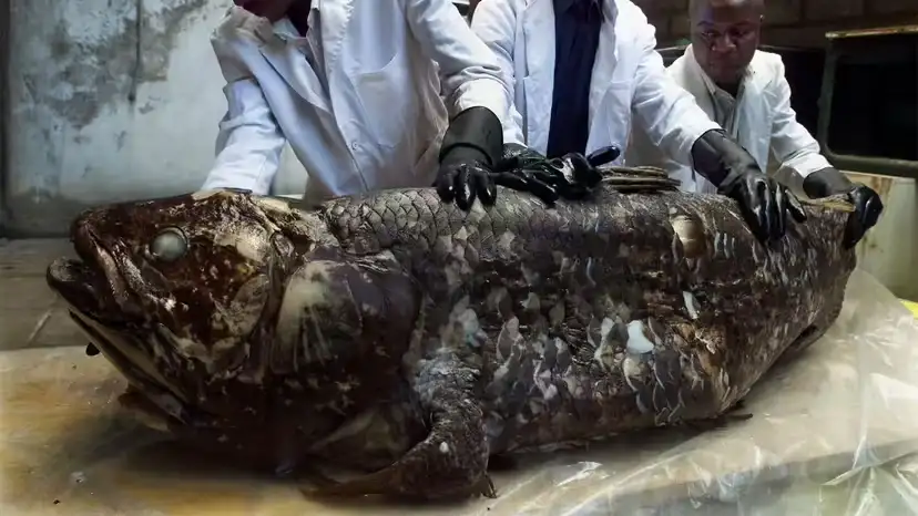 2025102921218228.webp 2.webp