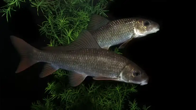 2025102921849347.webp 6.webp