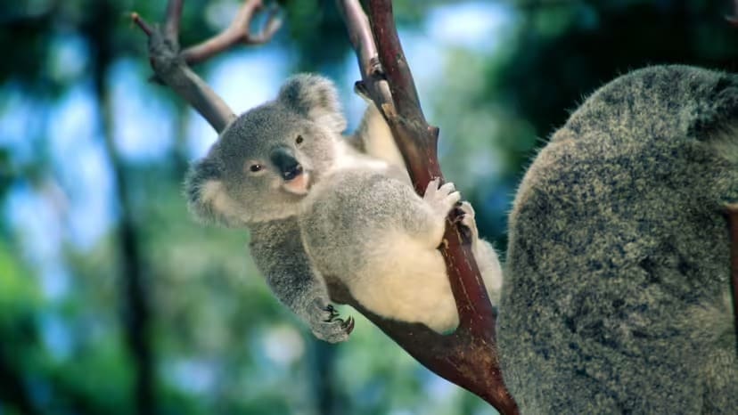 2025102949849611.jpg 4.jpg