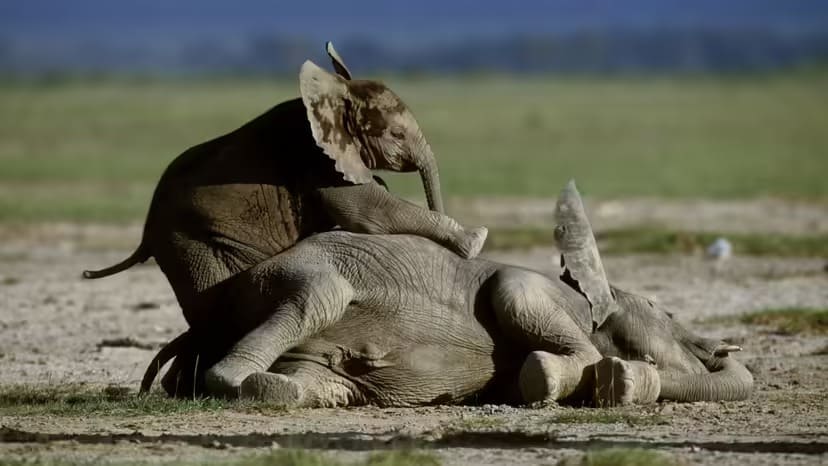 2025102962901348.jpg 2.jpg