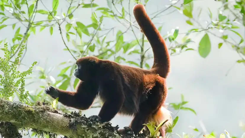 2025102970468198.webp 5.webp