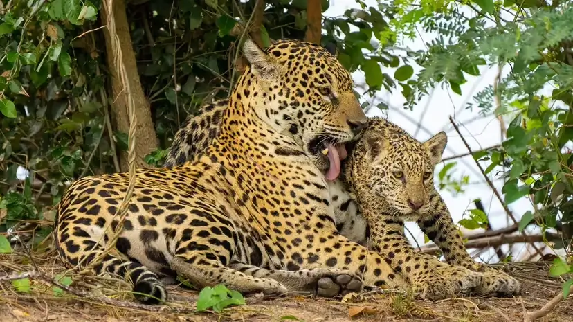 2025103034933853.webp 2.webp