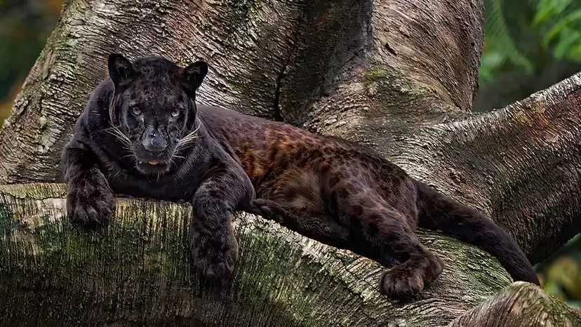 2025103094634649.webp 3.webp