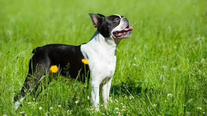 2025103111105053.webp 8.webp