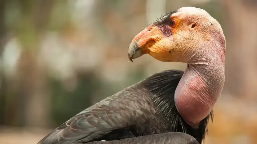 2025103112128802.webp 2.webp