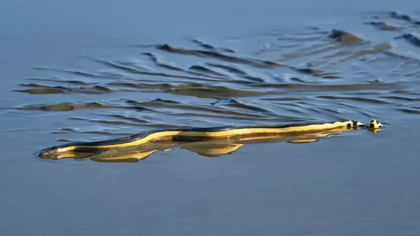 2025103112814584.webp 2.webp