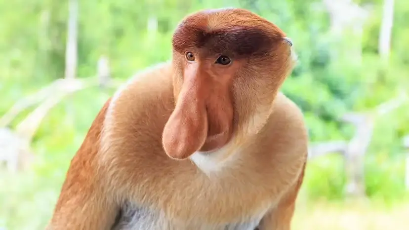 2025103119231539.webp 6.webp