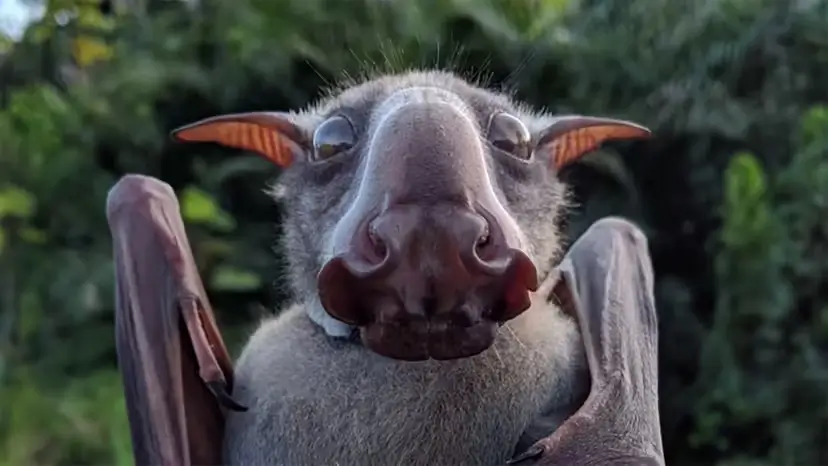 2025103122807060.webp 9.webp