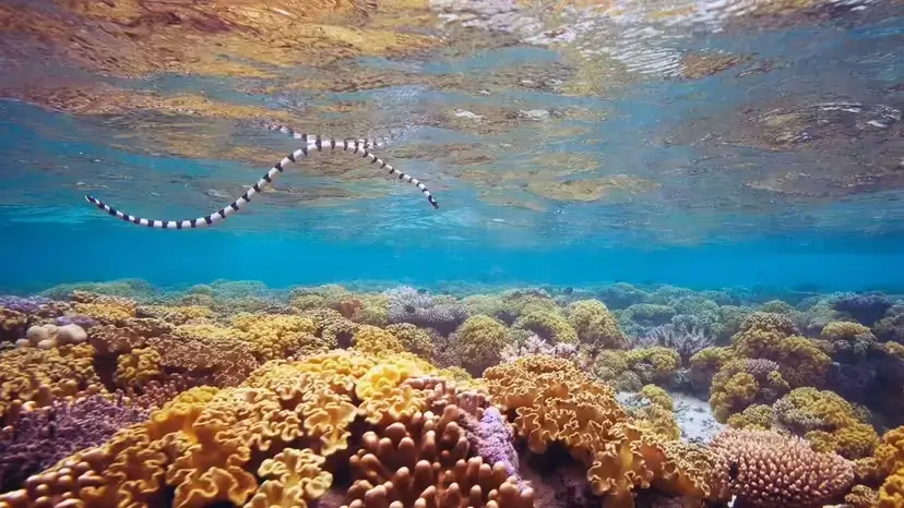 2025103133182237.webp 5.webp