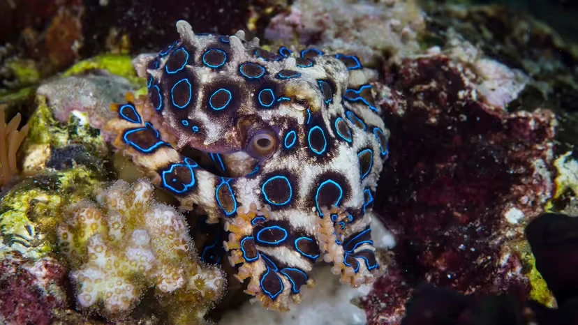 2025103135395938.webp 3.webp