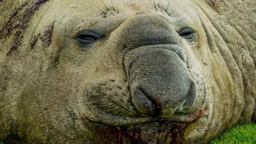 2025103153752893.webp 11.webp