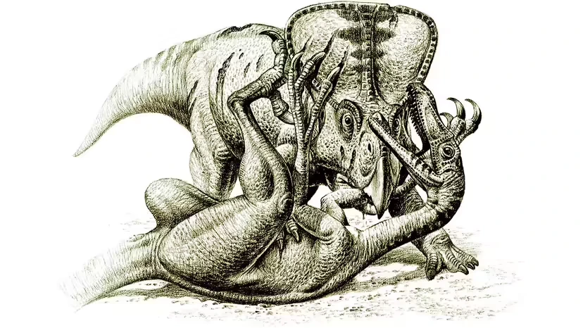 2025103173529799.webp 4.webp