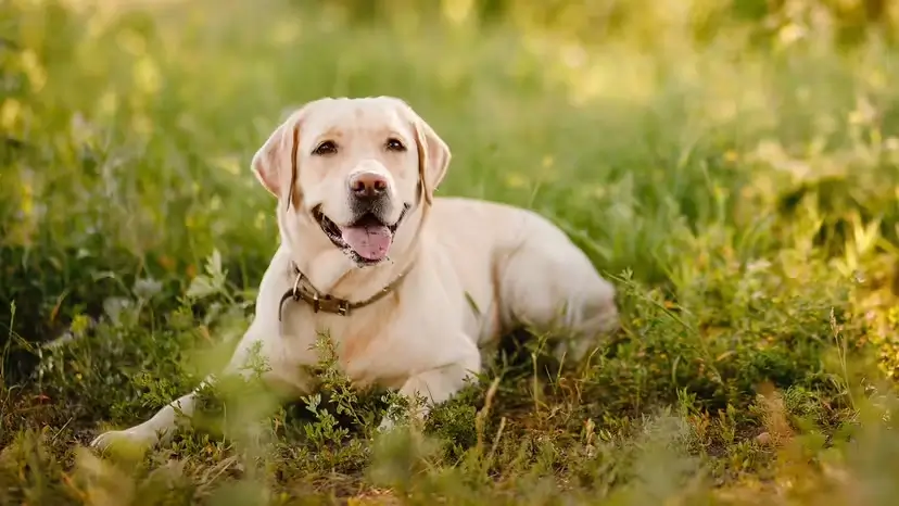 2025103190038824.webp 10.webp