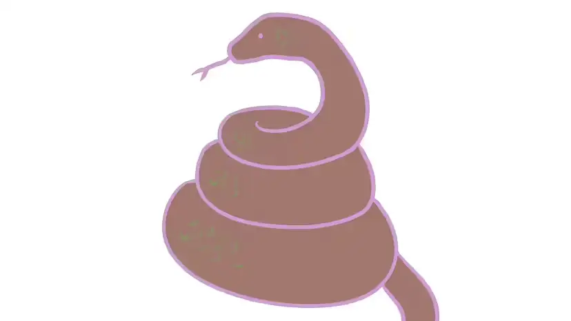 蛇屎长什么样？一篇给户外徒步者与养蛇新手的实用识别指南