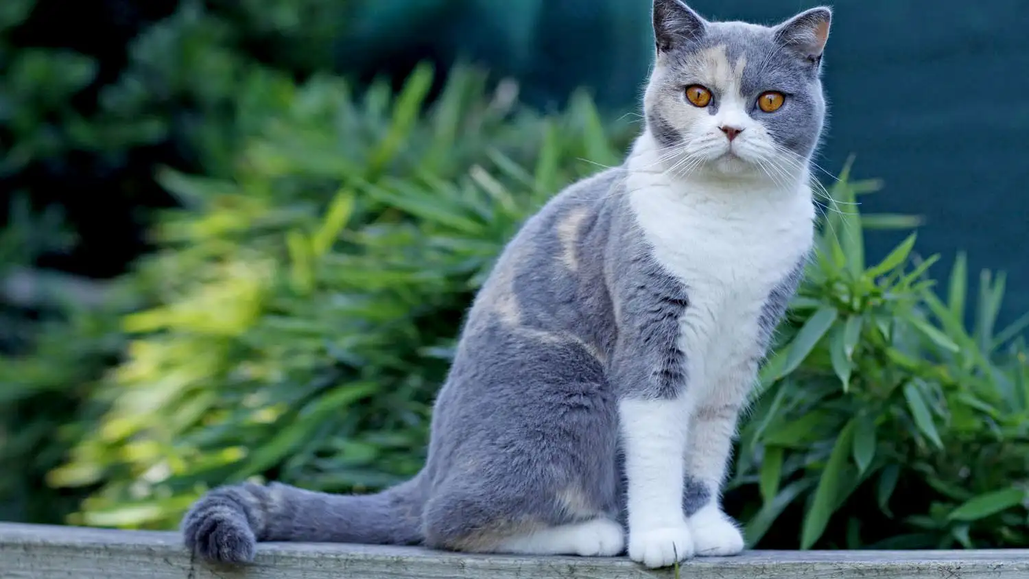 2025110531896939.webp 10.webp