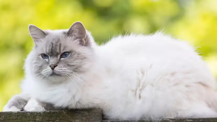 2025110532586977.webp 5.webp