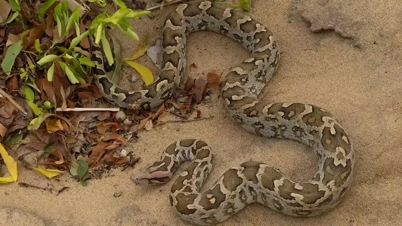 2025110578629279.webp 6.webp