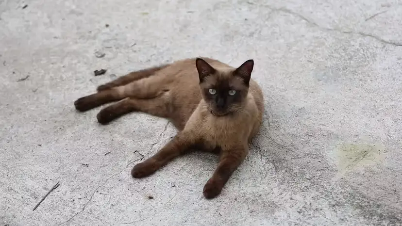 2025111721173682.webp 5.webp