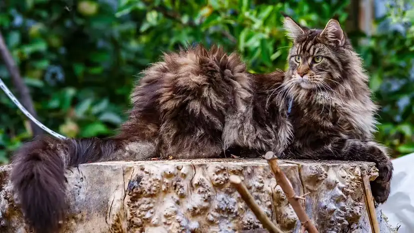 2025111769990754.webp 6.webp