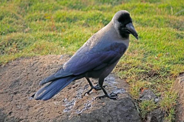 2025111810041759.webp 10.webp