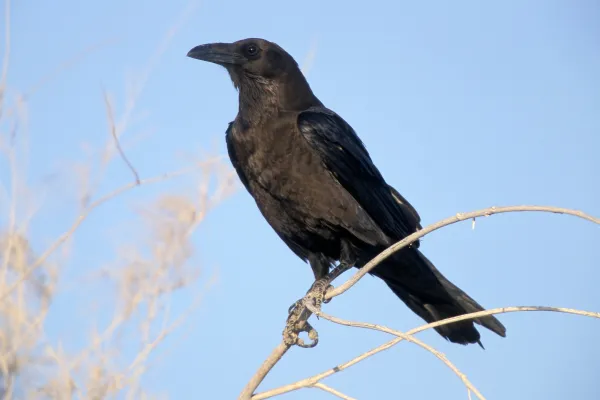 2025111811330156.webp 4.webp