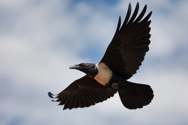 2025111814166258.webp 5.webp