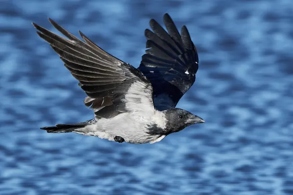 2025111838355269.webp 8.webp