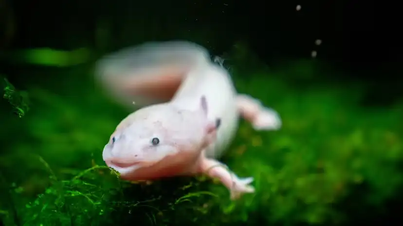 2025111873563428.webp 2.webp