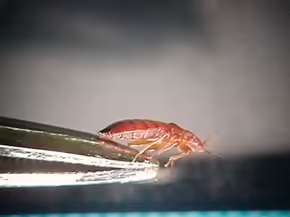 2025120119065443.jpg 2.jpg