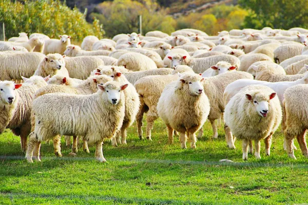 2025121114225216.webp 5.webp