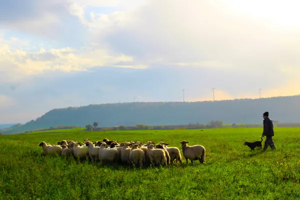 2025121114329846.webp 4.webp